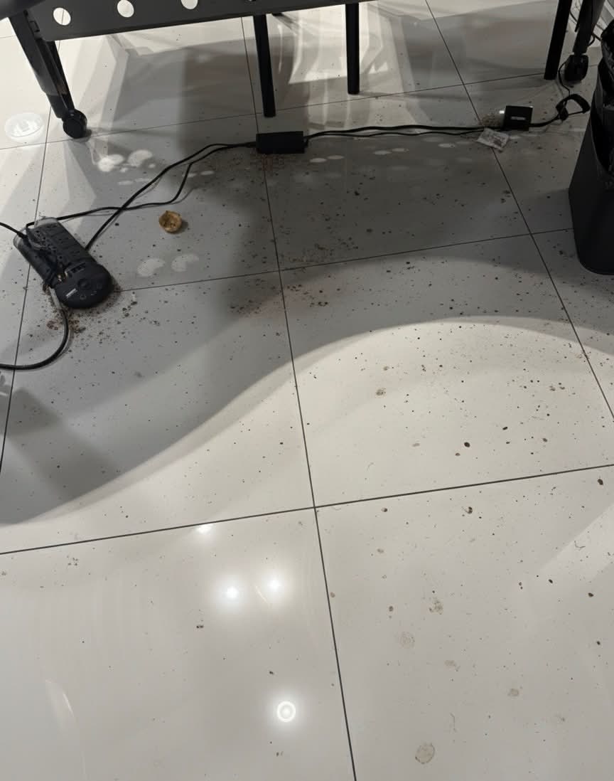 Showroom before cleaning